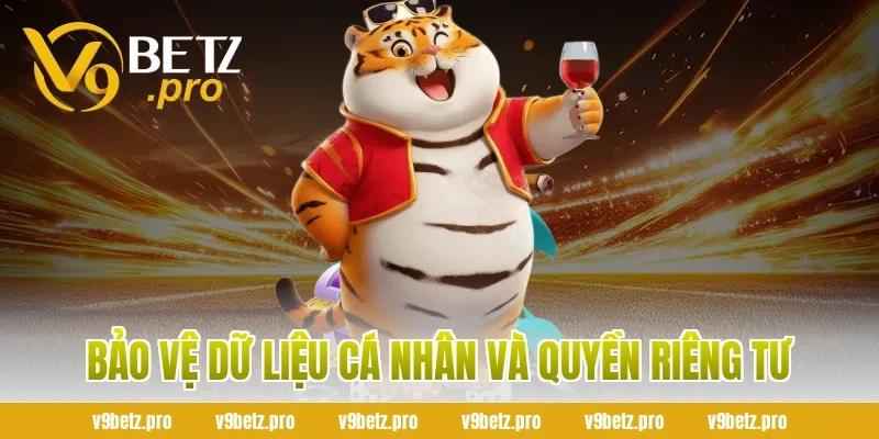 Bảo Vệ Dữ Liệu Cá Nhân Và Quyền Riêng Tư