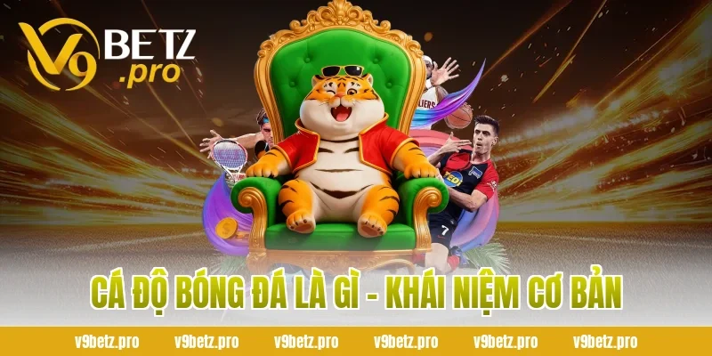 Cá Độ Bóng Đá Là Gì - Khái Niệm Cơ Bản