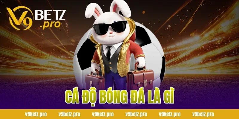 Cá Độ Bóng Đá Là Gì