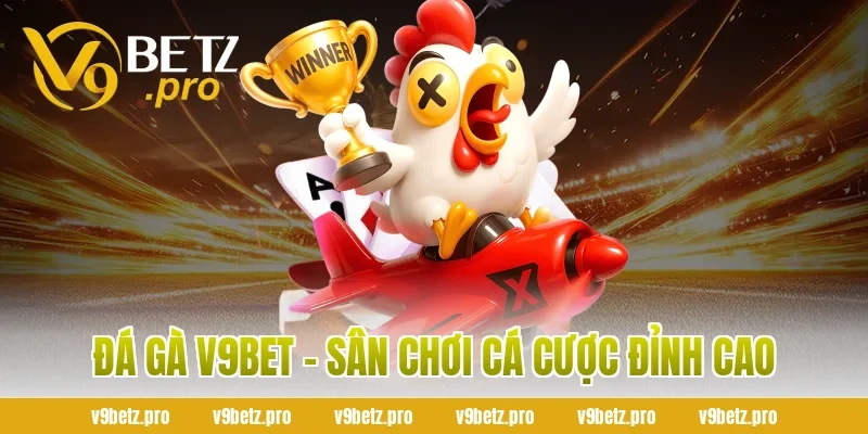 Đá Gà V9bet - Sân Chơi Cá Cược Đỉnh Cao