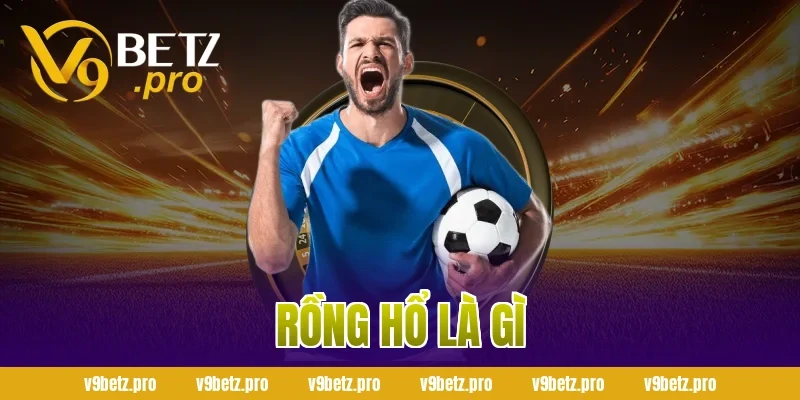 Rồng Hổ Là Gì