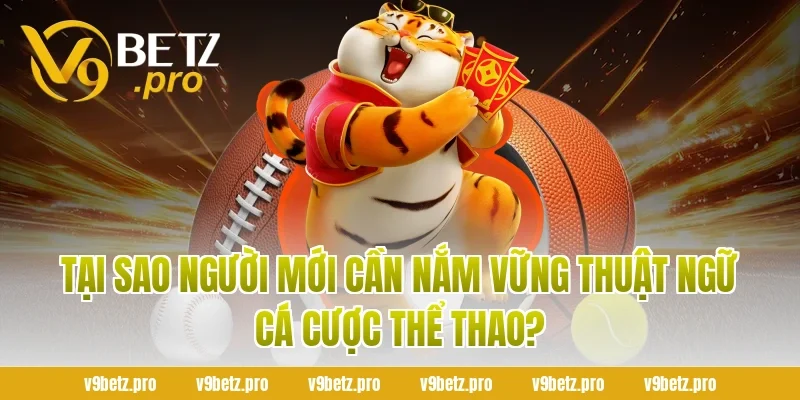 Tại Sao Người Mới Cần Nắm Vững Thuật Ngữ Cá Cược Thể Thao?